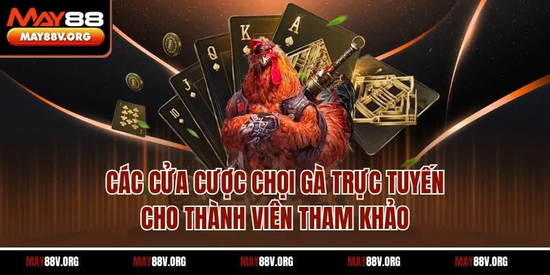 Các cửa cược chọi gà trực tuyến cho thành viên tham khảo