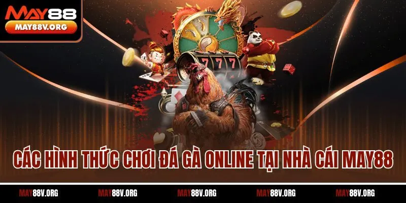 Các hình thức chơi đá gà online tại nhà cái May88