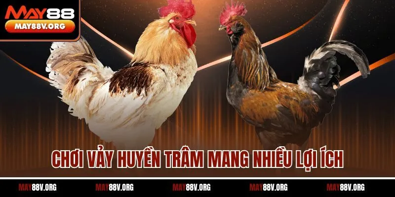 Chơi vảy huyền trâm mang nhiều lợi ích