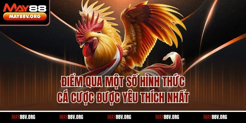 Điểm qua một số hình thức cá cược được yêu thích nhất