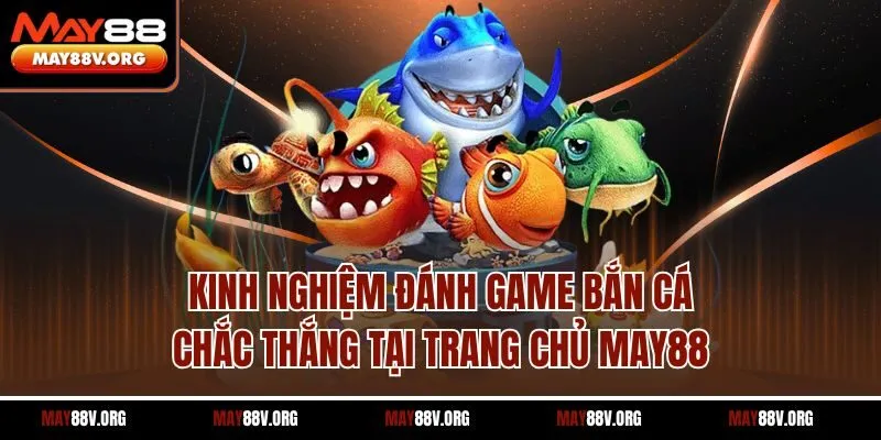 Kinh nghiệm đánh game bắn cá chắc thắng tại trang chủ May88