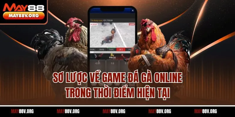 Sơ lược về game đá gà online trong thời điểm hiện tại