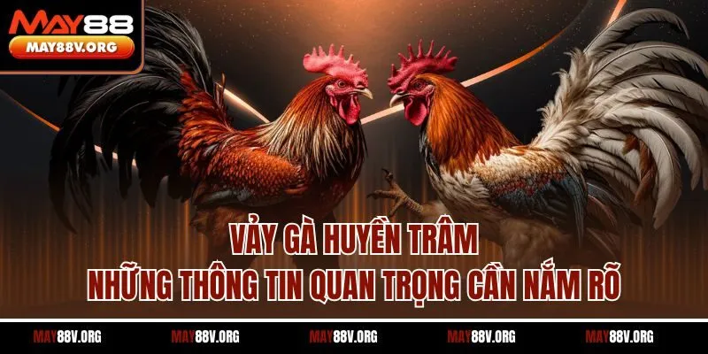 Vảy Gà Huyền Trâm - Những Thông Tin Quan Trọng Cần Nắm Rõ